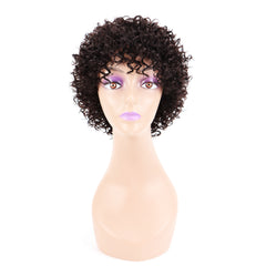 Summer Pixie Wig 150% Density Curly Human Hair Wig 6 Inch #1B Natural Color U8154